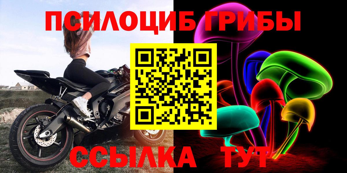 Псилоцибиновые грибы Magic Shrooms  Вход с VPN  Мурино  Псилоцибиновые грибы Psilocybine cubensis 